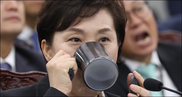 10일 정부세종청사에서 열린 국회 국토교통위원회의 국토교통부에 대한 국정감사에 출석한 김현미 장관이 물을 마시고 있다. / 뉴시스