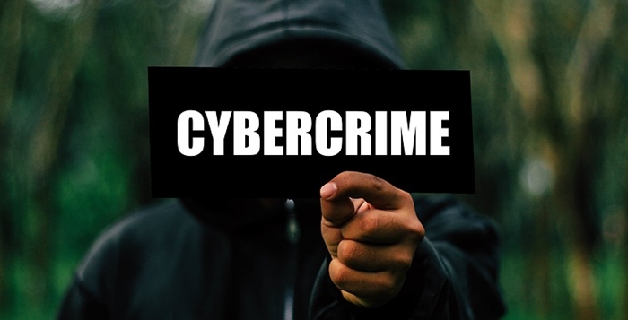 올해 국정감사 시즌에도 '사이버 범죄' 관련 발표가 이어졌다.