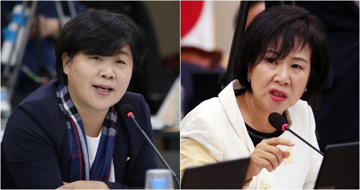 더불어민주당이 서영교(왼쪽) 의원과 손혜원 의원 관련 의혹에 대한 당의 입장을 정리했다. / 뉴시스