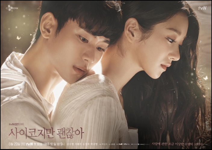 2020년 tvN 최대 기대작 '사이코지만 괜찮아' / tvN 제공