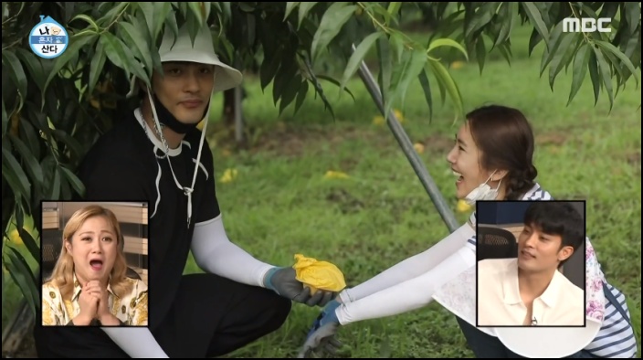 무지개회원으로 활약 중인 (사진 좌측부터) 성훈과 손담비가 복숭아 농장에서 과일을 따고 있는 장면 / MBC '나 혼자 산다' 방송화면