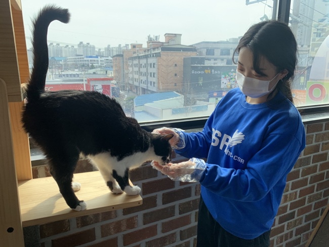 최근 ‘해바라기 봉사단’ 5기 1조는 경기도 오산시에 있는 동물보호소에서 유기동물을 위한 봉사를 진행했다. / bhc치킨