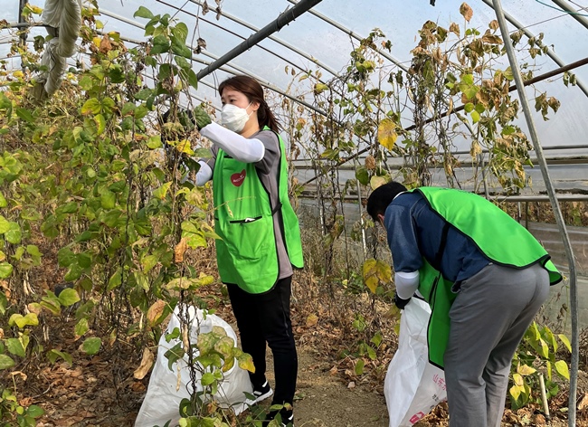농협중앙회(회장 이성희) 지역사회공헌부는 21일 한국건강관리협회와 경기 광명시 소재 콩 재배농가에서 수확철 ‘국민과 함께하는 농촌봉사활동’을 실시했다고 밝혔다. / 농협중앙회