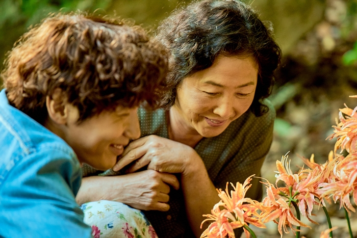 배우 고두심이 ‘2021 올해의 여성영화인상’ 수상자로 선정됐다. 사진은 영화 ‘빛나는 순간’ 스틸컷. /명필름