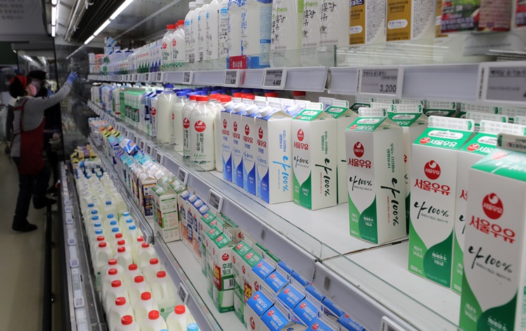 지난해 사료비 증가로 인해 우유 생산비 상승한 바 있다. 지난달 말 통계청이 발표한 생산비를 기준으로 낙농가와 유업체가 올해 우유 원유가격 인상 논의를 시작했다. / 뉴시스