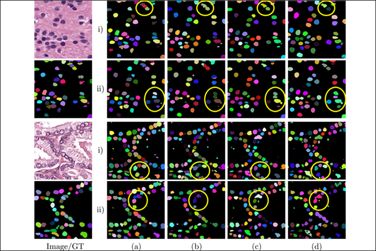 DGIST 박상현 교수 연구팀이 고안한 딥러닝 AI모델로 실제 세포핵 영상 데이터를 분석한 모습./ DGIST