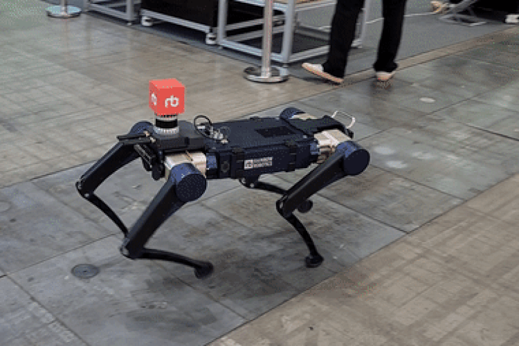 레인보우로보틱스가 개발한 네발로봇 모델 ‘RBQ시리즈’가 전시장을 자유롭게 돌아다니는 모습./ 박설민 기자