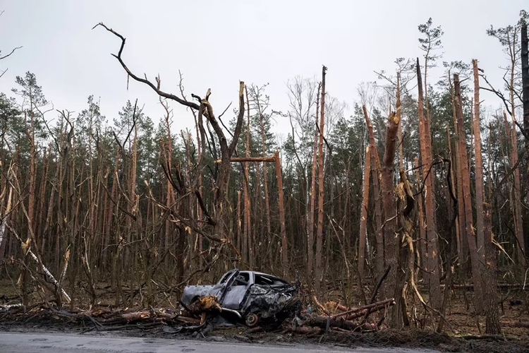 러시아군의 폭격으로 불타버린 우크라이나 지역의 숲./ Uniwersytet Rzeszowski