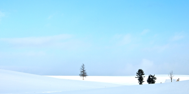 겨울철 홋카이도는 눈축제부터 설경을 경험하기 좋은 여행지로 평가된다. 사진은 홋카이도 비에이. / 교원투어