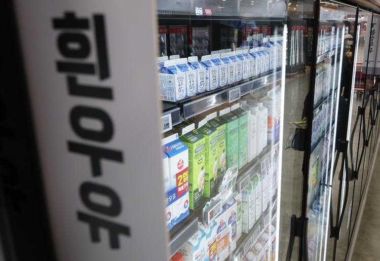 우유 소비량 감소로 위기를 맞은 국내 우유 시장에 새로운 지각 변동이 예고되고 있다. / 뉴시스