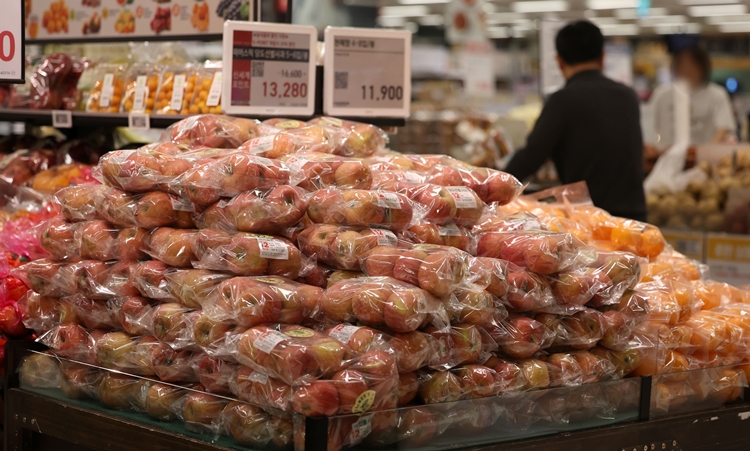 과일과 채소 가격이 여전히 높은 수준을 유지하고 있다. 이에 정부가 각종 할인지원에 나섰다. / 뉴시스