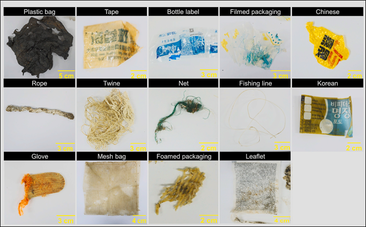 일반적으로 대중들은 해양 플라스틱 쓰레기의 대부분이 수산업에서 발생하는 폐그물 등이라고 생각한다. 하지만 일상생활 쓰레기가 훨씬 더 많은 비중을 차지한다. 사진은 KIOST 연구진이 바다거북 뱃속에서 꺼낸 플라스틱 및 비닐 쓰레기들./ KIOST