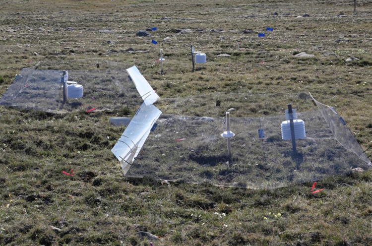 북극 지역의 기온 상승에 의한 토양생태계 변화를 모니터링하기 위해서 ITEX 프로토콜에 따라 설치한 온도 상승 챔버의 사진./ 극지연구소