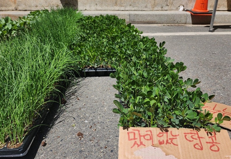 완연한 봄, 우리는 모종을 사다 심고 여기저기 분주히 다니는 등 바쁜 일상을 보내고 있다. / 청양=박우주