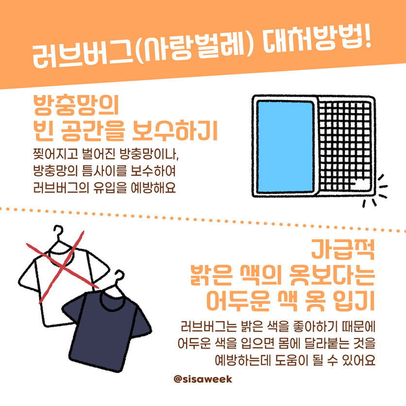 글, 그림=이주희