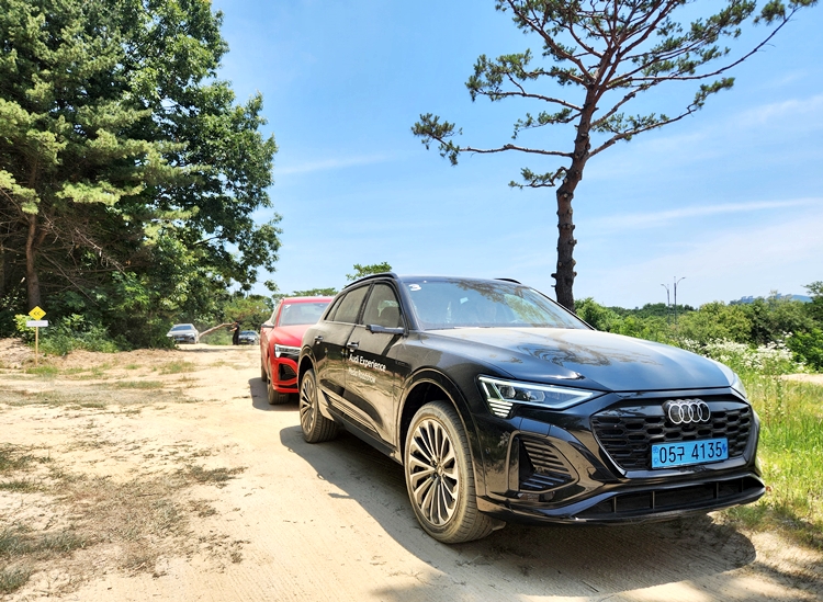 더 뉴 아우디 Q8 e-트론은 플래그십 전기차 중에서 디자인이 멋진 모델로 평가된다. / 여주=제갈민 기자