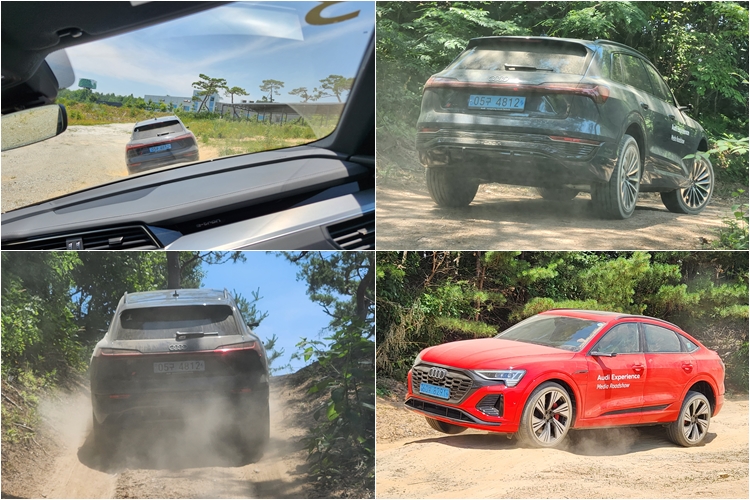 더 뉴 아우디 Q8 e-트론은 오프로드 험로를 쉽게 주파했다. / 여주=제갈민 기자