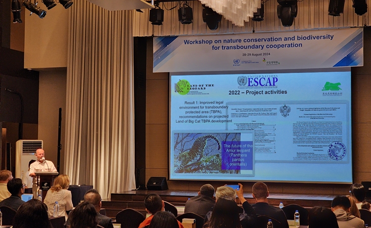 호랑이·표범 보전을 위한 NEASPEC 프로젝트의 주도 국가는 ‘러시아’다. 러시아는 2020년부터 2023년까지 동북아시아 지역 아무르호랑이, 아무르표범, 눈표범 보존에 관한 국경 간 협력 프로젝트를 지원했다. 사진은 러시아의 NEASPEC 프로젝트 성과를 발표하는 유리 달만(Yury Darman) 러시아 과학아카데미 극동지부 태평양 지리 연구소 선임연구원./ 박설민 기자