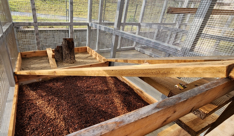 미어캣의 야생 서식 환경과 흡사하게 조성된 야외방사장 모습. 모래밭과 나무톱밥, 원목 놀이기구로 이뤄진 방사장은  미어캣들의 공격성·스트레스 완화에 최적화된 장소였다./ 박설민 기자