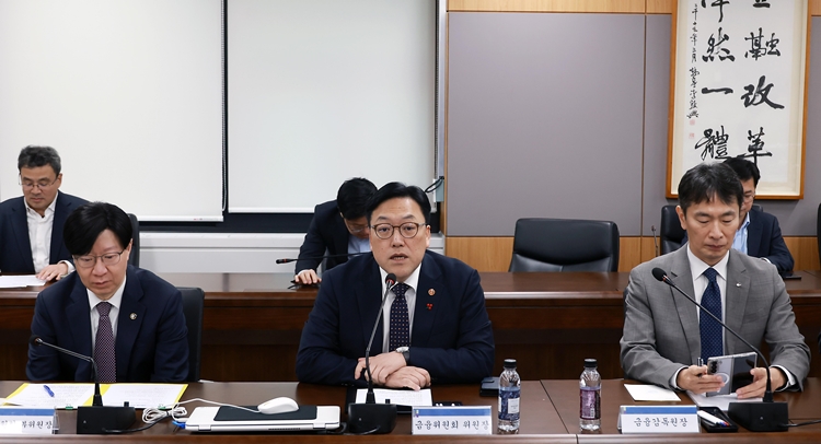 김병환 금융위원장이 4일 오전 서울 종로구 정부서울청사에서 금융상황점검회의를 주재하고 있다. /금융위원회·뉴시스