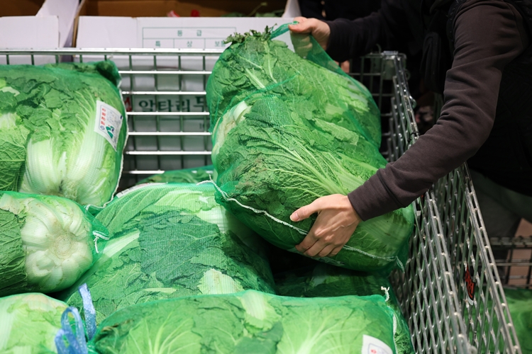 국립농산물품질관리원이 김장 기간 원산지표시 점검을 진행한 결과 180개소가 원산지 거짓 표시 및 미표시로 적발됐다. / 뉴시스