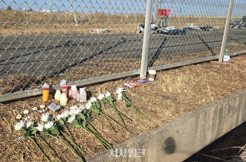 공항 외벽 철조망 주변에 희생자들을 추모하기 위한 국회꽃이 놓여 있는 모습. 추모객들은 분향소 외에도 사고 현장 인근을 찾아 추모 메시지를 걸어두는 등 애도를 이어가 있다.  / 무안=정소현 기자 