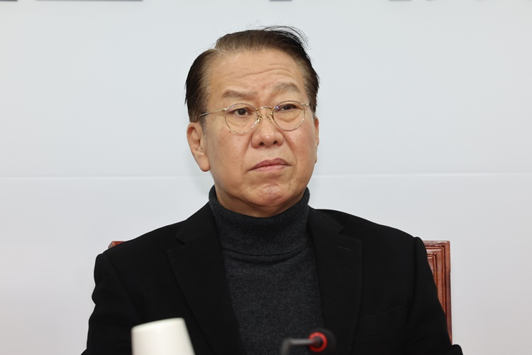 윤석열 대통령에 대한 2차 체포영장 집행이 시작된 15일 오전 서울 여의도 국회에서 권영세 국민의힘 비상대책위원장이 비상대책위원회의에서 심각한 표정을 짓고 있다. /뉴시스