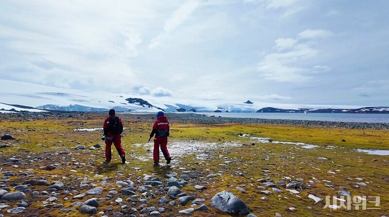 아름다운 풍경과 달리, 포터소만은 상상 이상으로 험난하다. 날카롭고 울퉁불퉁한 바위, 자갈길과 미끄러운 눈밭, 얼음, 추위가 도사리고 있기 때문이다. 하지만 야생동물팀 연구자들은 이 거친 지형이 전혀 문제가 아니라는 듯 빠른 속도로 주변을 조사했다./ 사진=남극특별취재팀