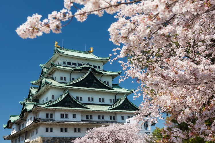 모두투어 알펜루트 기획전은 서울~나고야 상품도 존재한다. 나고야 지역의 올해 벚꽃 개화 시기는 3월말쯤으로 알려졌다. 사진은 나고야성. / 모두투어