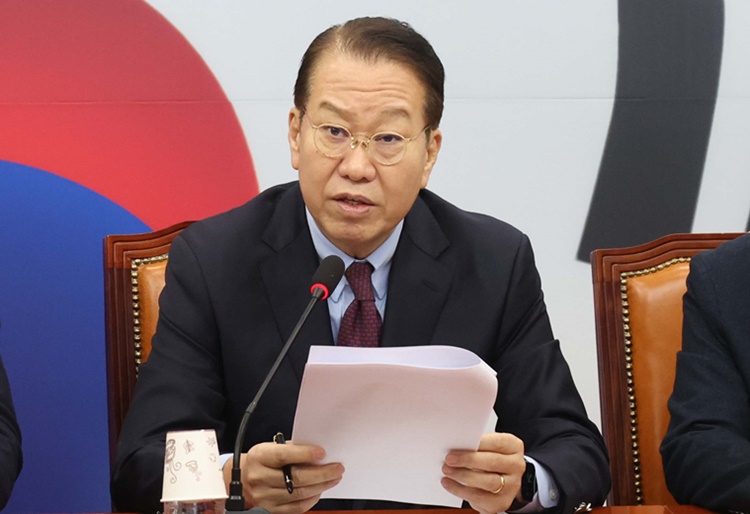 권영세 국민의힘 비상대책위원장이 17일 오전 서울 여의도 국회에서 열린 비상대책위원회의에서 발언을 하고 있다.  /뉴시스