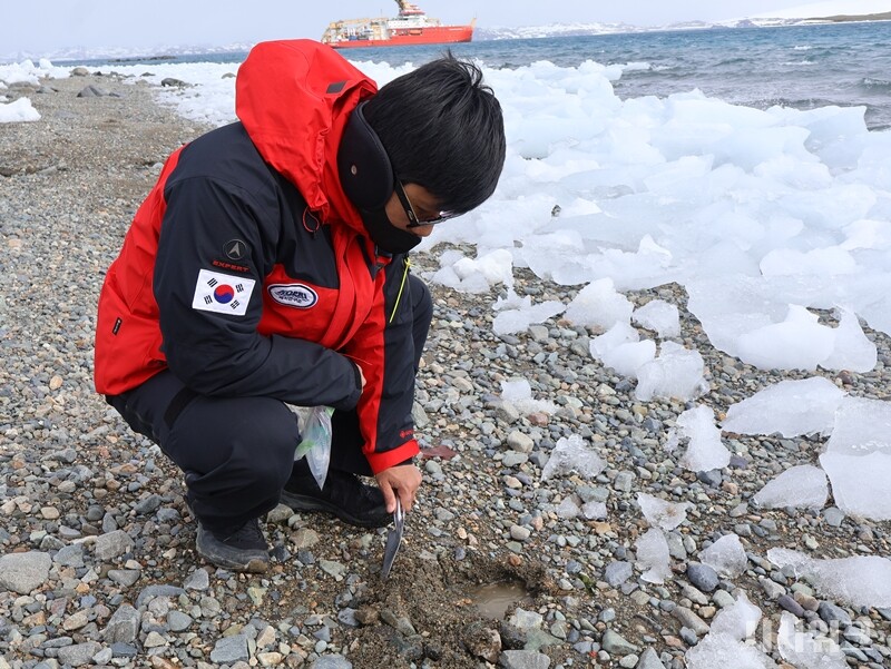 마리안 소만 해안가 토양 시료를 채취하는 유진선 연구원. 마리안 소만 인근의 눈, 빙하가 녹으면서 토양에 담수가 유입될 경우 미생물 생태계 변화를 관찰하기 위한 작업이다./ 사진=남극특별취재팀