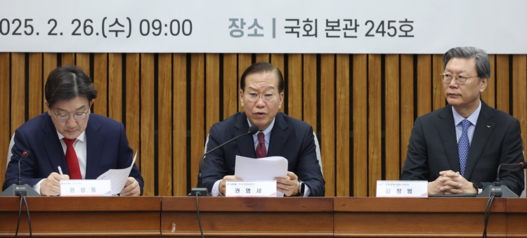 권영세 국민의힘 비상대책위원장이 26일 서울 여의도 국회에서 열린 주주 권익 및 기업가치 제고를 위한 경제단체 간담회에서 발언하고 있다.  /뉴시스