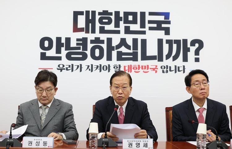 권영세 국민의힘 비상대책위원장이 6일 오전 서울 여의도 국회에서 열린 비상대책위원회의에서 발언을 하고 있다.  /뉴시스