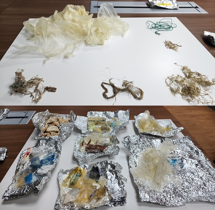 한국해양과학기술원 연구진이 바다거북의 뱃속에서 꺼낸 플라스틱 쓰레기들. 첫번째 사진은 푸른바다거북의 뱃속에서, 두번째 사진은 붉은바다거북의 뱃속에서 꺼낸 것들이다./ 박설민 기자 