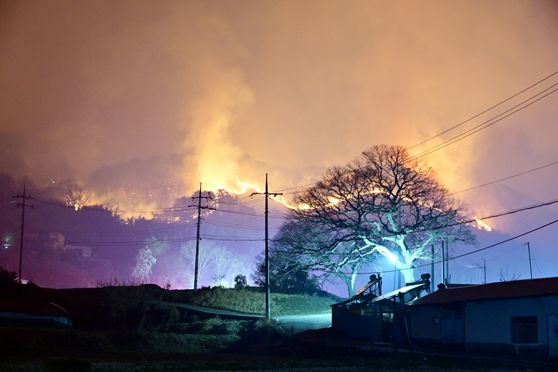이번 산불은 지난 22일 오전 11시 24분경 경상북도 의성군 안평면 괴산리에서 발생했다. 원인은 묘지를 정리하던 성묘객에 의한 실화로 추정된다. 사진은 경남 산청군에서 발생한 대형 산불이 산등성이를 타고 하동군 옥종면 안계마을 인근 으로 확산하는 모습./ 뉴시스