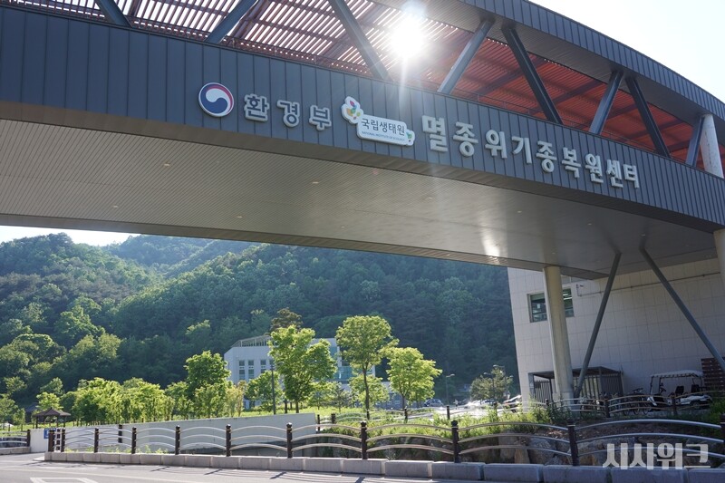 28일 국립생태원 관계자에 따르면 경북 영양군 영양읍 고월길에 위치한 국립생태원 멸종위기종복원센터는 필수 관리 인원을 제외한 모든 인력이 대피한 것으로 알려졌다. 현재 연구원들은 재택 근무로 전환한 상태다./ 시사위크DB