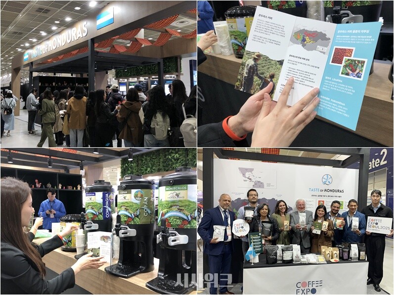 2025년 주빈국으로 선정된 온두라스의 부스 ‘테이스트 오브 온두라스(Taste of Honduras)’의 현장이다. 스태프의 설명을 들은 관람객은 자신의 취향에 맞는 원두를 고르고 시음까지 경험할 수 있다./ 임다영 인턴기자