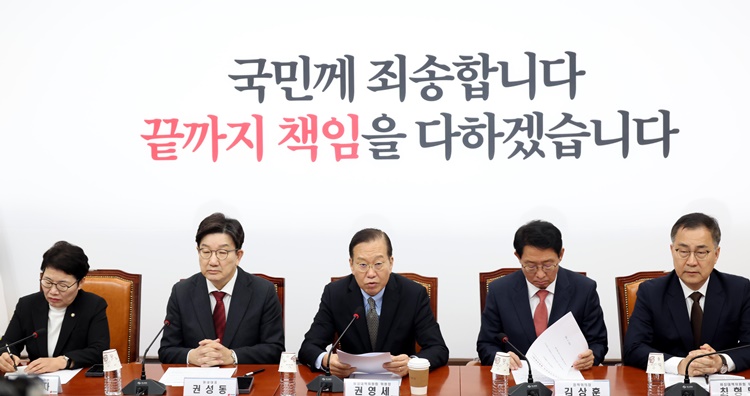 권영세 국민의힘 비상대책위원장이 7일 오전 서울 여의도 국회에서 열린 비상대책위원회의에서 발언을 하고 있다.  /뉴시스