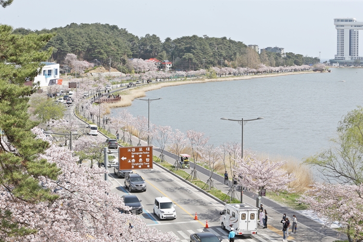 한국 여행을 계획 중인 외국인 여행객들 사이에서 강릉·속초·양양 지역에 대한 관심이 큰 폭으로 증가한 것으로 분석됐다. 사진은 강원도 강릉 경포대 인근. / 뉴시스