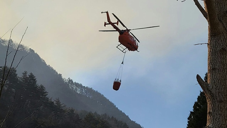 지자체의 산불진화 임차 헬기 노후화가 심각하다는 지적이 나왔다. / 뉴시스 