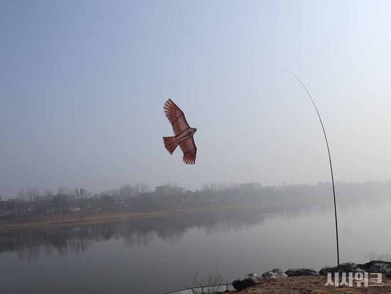 민물가마우지를 쫓아내기 위한 맹금류 모양의 연. 민물가마우지는 저어새와 서식지, 둥지를 짓는 지역이 겹친다. 이로 인해 저어새 복원 및 번식에 악영향을 줄 수 있있다./ 박설민 기자