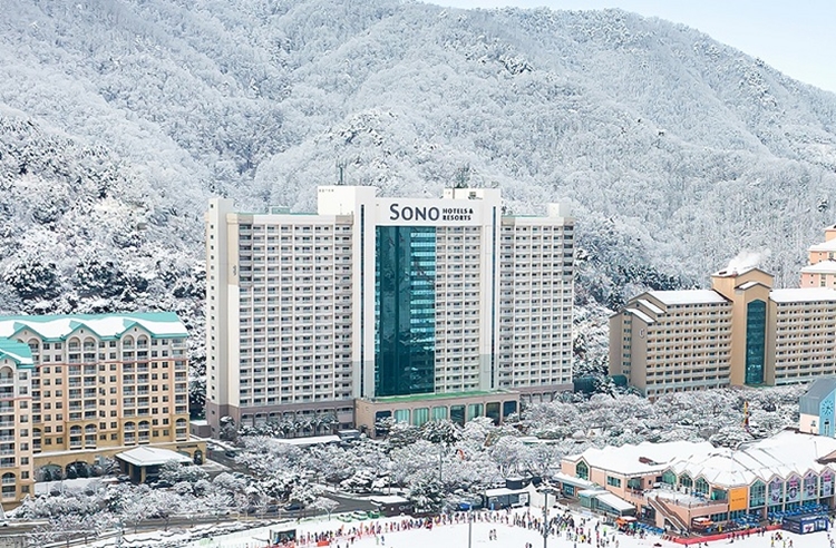 소노인터내셔널과 티웨이항공의 공정위 기업결합 심사 결과가 늦어지면서 대명소노그룹의 티웨이항공 이사회 진입이 지연되고 있다. / 소노인터내셔널 홈페이지