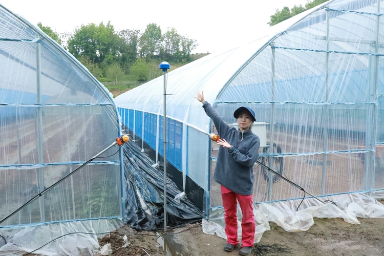 큰 비용이 드는 스마트팜은 못하지만, 스마트한 방법들을 적극 적용하며 발전시키고 있다. / 청양=박우주
