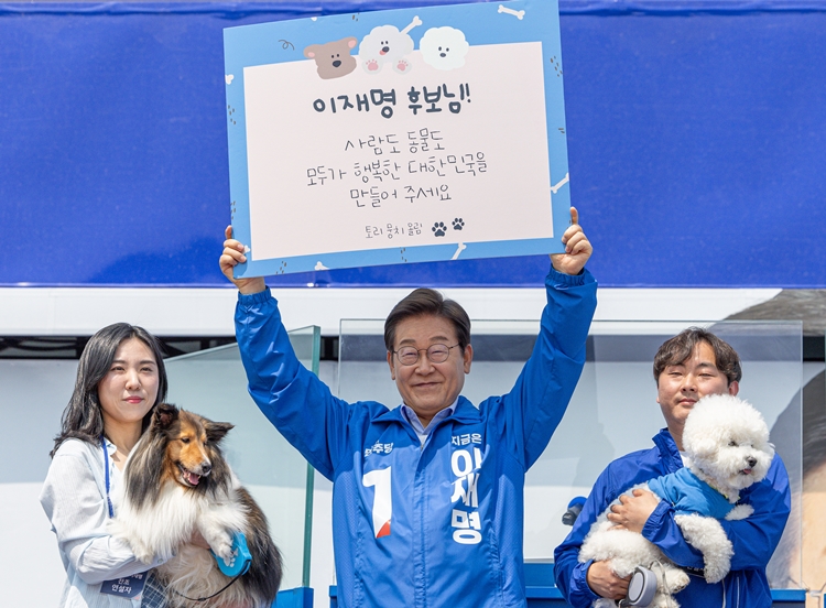 21대 대통령 선거가 나흘 앞으로 다가온 가운데, 이재명 더불어민주당 대선 후보가 중도층 표심 잡기에 집중하는 모습이다. 사진은 이 후보가 30일 오후 강원 춘천시 춘천역 광장에서 열린 집중유세에서 반려견 토리, 뭉치의 편지 판넬을 들어 보이고 있는 모습. / 뉴시스