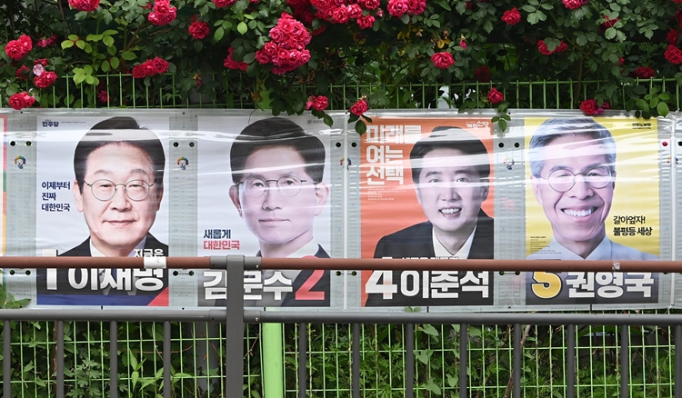 사진은 21대 대통령선거를 하루 앞둔 2일 경기 안양시 만안구 한 거리에 장미꽃 아래로 후보자들의 선거 벽보가 걸려 있는 모습. / 뉴시스
