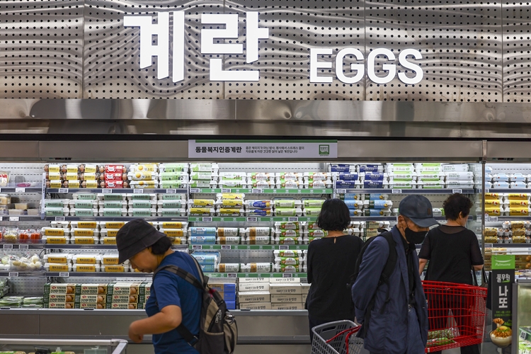 누적된 인플레이션으로 물가 수준이 높아진 가운데, 정부가 최근 밥상물가 안정에 총력을 다하고 있다고 밝혔다. / 뉴시스