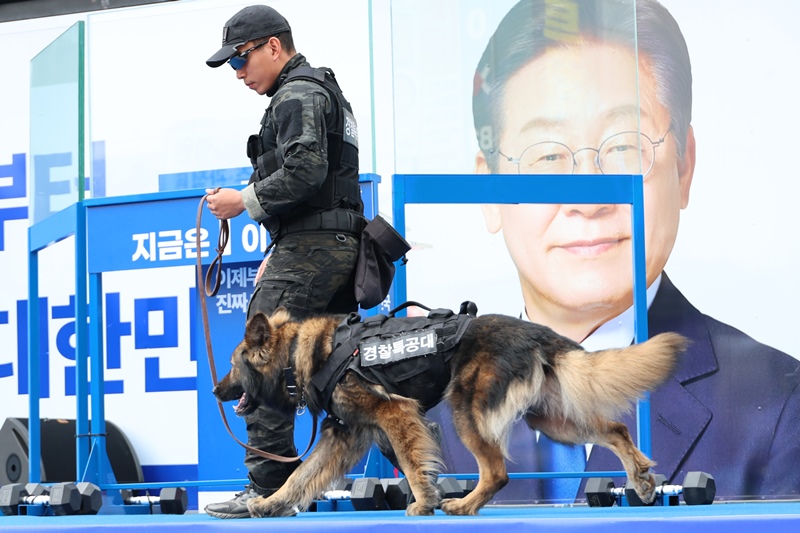 국회 보건복지위원회 김예지 의원(국민의힘, 비례대표)은 8일, 봉사동물 및 은퇴봉사동물에 대한 국가와 지자체의 지원 근거를 담은 ‘동물보호법 일부개정법률안’과, 동물의 법적 지위를 개선하기 위한 ‘민법 일부개정법률안’을 각각 대표발의했다. 사진은 이재명 당시 더불어민주당 대선 후보의 유세 현장에서 경찰특공대원이 폭발물 탐지견을 동원해 위험물을 수색하고 있는 모습. / 뉴시스 