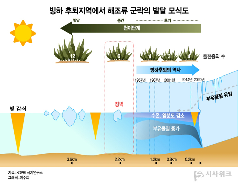 빙하 후퇴지역의 해조류 군락 발달 모식도 / 그래픽=이주희 디자이너, 자료=극지연구소