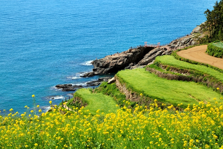 올해 5월 쏠비치 남해 리조트가 오픈한 후 여행객들 사이에서는 경남 남해 지역에 대한 관심이 커진 모습이다. 사진은 경남 남해 바다와 다랭이논. / 호텔스컴바인