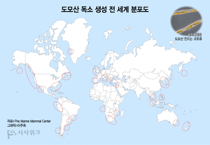 도모산 독소 생선 전 세계 분포 지역도./ 사진=시사위크 취재팀